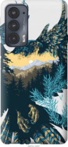 Чехол Арт-орел на фоне природы для Motorola Edge 20