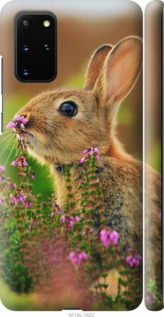 

Чехол Кролик и цветы для Samsung Galaxy S20 Plus 879612