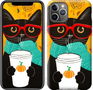 

Чехол Осенний кот для iPhone 11 Pro 778437