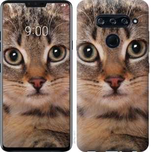 

Чохол Смугастий котик на HTC U12 Plus 780394