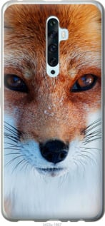 

Чохол Руда лисиця на Oppo Reno 2Z 920640