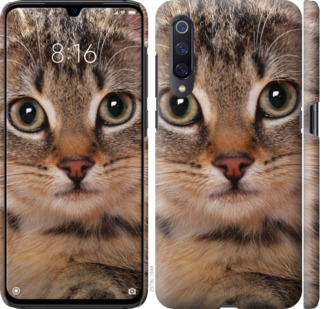 

Чехол Полосатый котик для Meizu 16S 780397