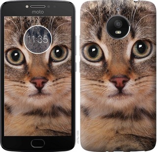 

Чехол Полосатый котик для Motorola Moto G7 Power 704657