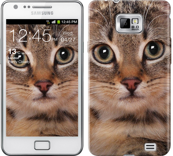 

Чохол Смугастий котик на Samsung Galaxy S2 i9100 175512