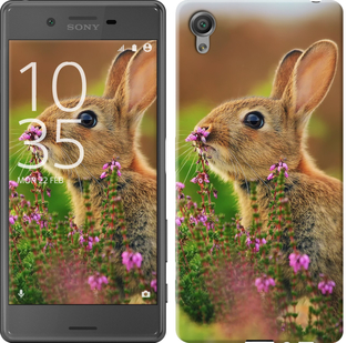 Чехол Кролик и цветы для Sony Xperia X F5122