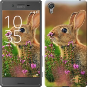 Чехол Кролик и цветы для Sony Xperia X F5122