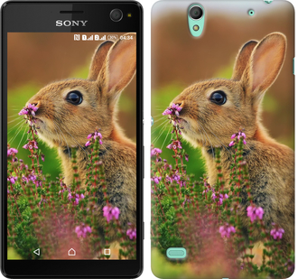 

Чохол Кролик і квіти на Sony Xperia C4 E5333 150028