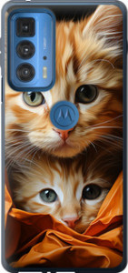 Чехол Котики 2 для Motorola Edge 20 Pro