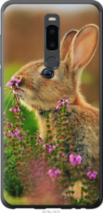 Чехол Кролик и цветы для Meizu Note 8