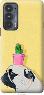 

Чехол Мопс с кактусом для Motorola Edge 20 1230525
