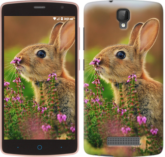 

Чохол Кролик і квіти на ZTE L5 304921
