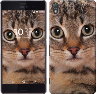 

Чехол Полосатый котик для Sony Xperia Z3 175698