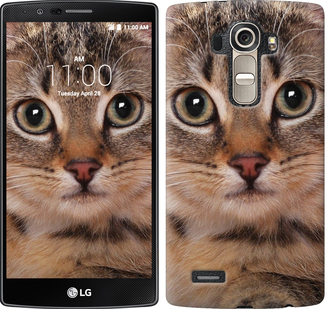 

Чохол Смугастий котик на LG G4 H815 175667