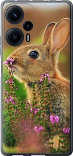 

Чехол Кролик и цветы для Xiaomi Redmi Note 12 Turbo 1696233