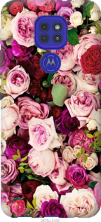 

Чохол Троянди і півонії на Motorola G9 Play 1147183