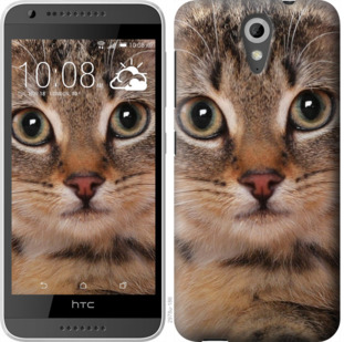 

Чохол Смугастий котик на HTC Desire 620G 924178
