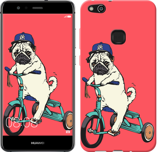 

Чохол Мопс на велосипеді на Huawei P10 Lite 642837