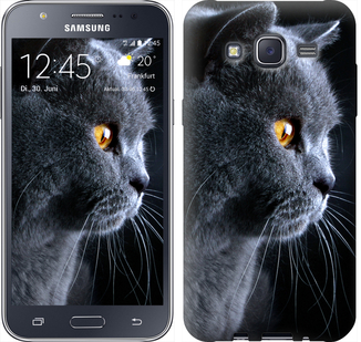 

Чехол Красивый кот для Samsung Galaxy J5 (2015) J500H 116916
