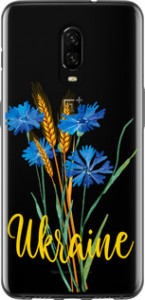 Чехол Ukraine v2 для OnePlus 6T