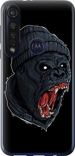 

Чехол Обезьяна в ярости для Motorola G8 Plus 1631013