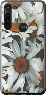 

Чохол Ромашки v2 на Motorola G8 Power 1624458