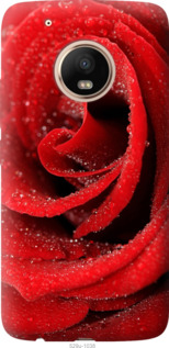 Чохол Червона троянда на Motorola Moto G5 PLUS