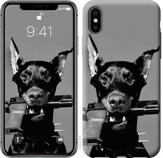 

Чохол Доберман на iPhone XS Max 670785