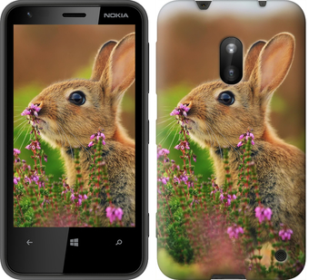 

Чохол Кролик і квіти на Nokia Lumia 620 150163