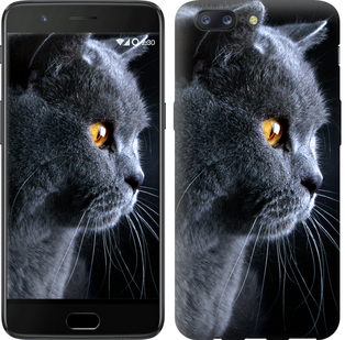 

Чехол Красивый кот для OnePlus 5 626705