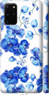 

Чехол Голубые орхидеи для Samsung Galaxy S20 Plus 879628