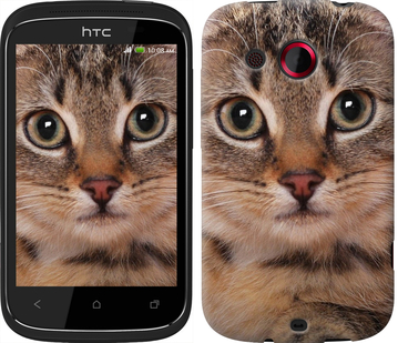 

Чохол Смугастий котик на HTC Desire C A320e 175590