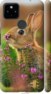 

Чохол Кролик і квіти на Google Pixel 5 XL 1428423