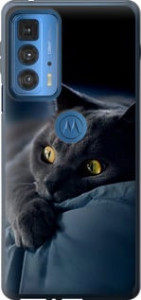 Чехол Дымчатый кот для Motorola Edge 20 Pro
