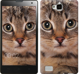 

Чохол Смугастий котик на Huawei Honor 3C 175790