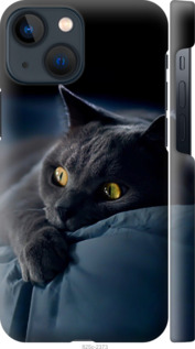 Чохол Димчастий кіт на iPhone 13 Mini