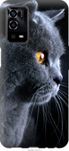 Чехол Красивый кот для Oppo A55