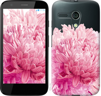 

Чехол Хризантема для Motorola Moto G 844621