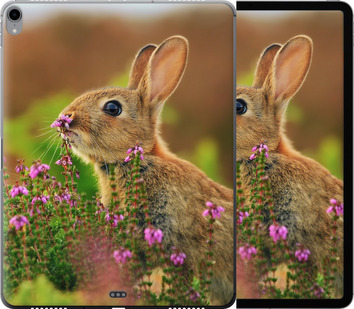 

Чохол Кролик і квіти на iPad Pro 12.9 (2018) 695469
