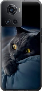 Чехол Дымчатый кот для OnePlus Ace
