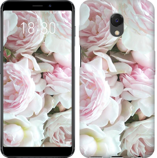 

Чехол Пионы v2 для Meizu M6s 632348