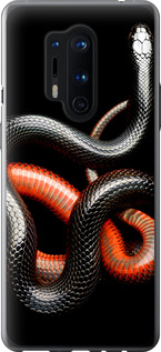 

Чохол Червоно-чорна змія на чорному тлі на OnePlus 8 Pro 1685248