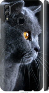 Чехол Красивый кот для Huawei Honor 10 Lite
