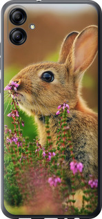 

Чехол Кролик и цветы для Samsung Galaxy A04e A042F 1696204