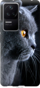 Чехол Красивый кот для Xiaomi Redmi K40S