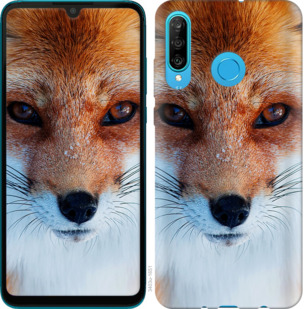 

Чехол Рыжая лисица для Huawei Honor 10i 868611