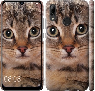 

Чехол Полосатый котик для Huawei P Smart 2019 699132