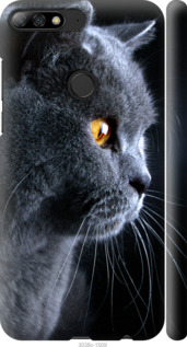 

Чехол Красивый кот для Honor 7C pro 1161616