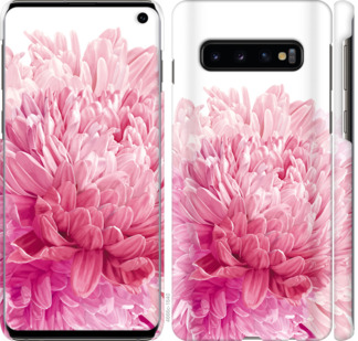 

Чехол Хризантема для Samsung Galaxy S10 844089