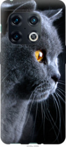 Чохол Гарний кіт на OnePlus 10 Pro