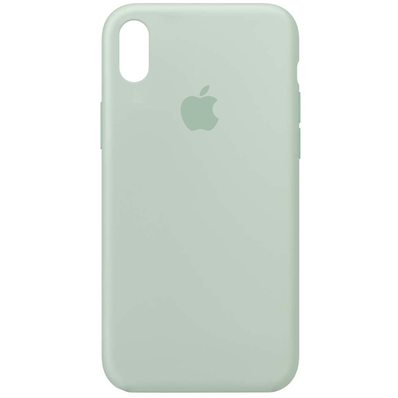 Чехол Silicone Case Full Protective (AA) для Apple iPhone XR (6.1") (Бирюзовый / Beryl)